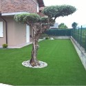 Luxury Salina Synthetic Grass